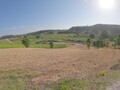 Land with 1160sqm Bombarral