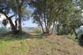 Terreno com 3152m2 à venda Costa de Prata Salir de Matos Caldas da Rainha - poço, sobreiros