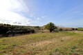 Terreno com 74080m2 Costa de Prata Vau Óbidos para comprar - poço, árvores de fruto, viabilidade de construção