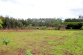 Land with 2460sqm Costa de Prata Tornada Caldas da Rainha - water, well, construction viability