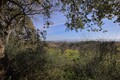 Terreno com 14430m2 para venda Bárrio Alcobaça - viabilidade de construção, oliveiras