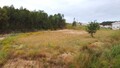 Land Rustic with 4459sqm Coto Caldas da Rainha - construction viability