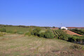 1000018921_img_4326.jpg