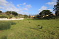 Land Rustic with 4050sqm Costa de Prata Nossa Senhora do Pópulo Caldas da Rainha - well