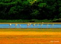 1000019926__v9a2423.jpg