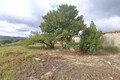 1000020548_img_6660-6accbe283eab2.jpg