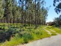 Terreno plano Ilha Pombal para vender - viabilidade de construção, água da rede, bons acessos, electricidade