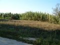 À venda Terreno com 850m2 São Miguel Souto da Carpalhosa Leiria - viabilidade de construção