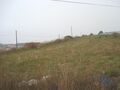 -200260145_ID7cedb900-0000-0500-0000-000006735cae.jpg