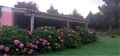 -212583337_IDab5c9401-0000-0500-0000-000014fded50.jpg