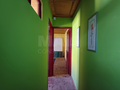 -33060267_wm-b512c90339-4dcaa63987.webp