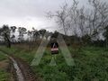 -208031314_ID358e3801-0000-0500-0000-00000db87e37.jpg