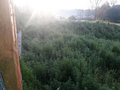 -190004327_aHR0cHM6Ly9tZWRpYWltcGFjdG8ueGltby5wdC8vaW1vdmVpcy80MzI3LzkzYTNhOTgxLTJkOWQtNDA1Yy04ZWNmLTg0ZGEyNDY3NTA4ZC5qcGc.webp