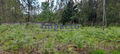 -190005127_aHR0cHM6Ly9tZWRpYWltcGFjdG8ueGltby5wdC8vaW1vdmVpcy81MTI3L2YxYWUzMzc0LTVjNWItNGI4Ny1iOTczLTBkN2VkNjI5M2IzZC5qcGc.webp