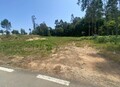 1000019912_terreno_macieira_2.jpeg