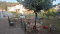 1000019916_11.jpeg