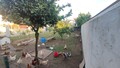 1000019916_12.jpeg