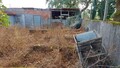 1000019941_20210910_100829.jpg