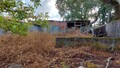 1000019941_20210910_100908.jpg