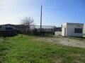 1000019945_img_8083.jpg