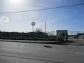 1000019945_img_8086.jpg