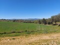 1000019946_4.jpg