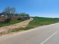 1000019949_20250329_113413.jpg