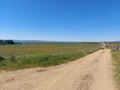 1000019949_20250329_115307.jpg