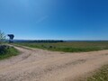 1000019949_20250329_115318.jpg