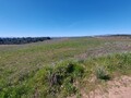 1000019949_20250329_115409.jpg