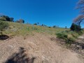 1000019950_20250329_121804.jpg