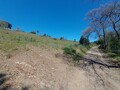 1000019950_20250329_121807.jpg