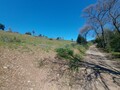 1000019950_20250329_121812.jpg
