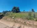 1000019950_20250329_121952.jpg