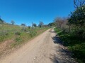 1000019950_20250329_121958.jpg