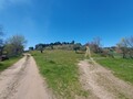 1000019950_20250329_122140.jpg
