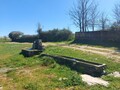 1000019951_20250329_125742.jpg