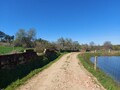 1000019951_20250329_125757.jpg