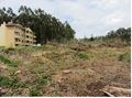 Venda de Terreno Urbano plano São Martinho da Gândara Oliveira de Azeméis