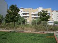 t5