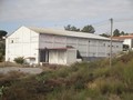 t1