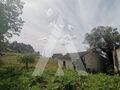 -210392502_ID75a56b01-0000-0500-0000-00001155f5e8.jpg
