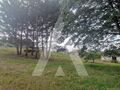 -210392502_ID75a56b01-0000-0500-0000-00001155f5fd.jpg