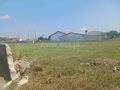 -611337660_terreno-para-construcao-aveiro-quinta-do-picado_14_1_1337660_16472683_2_1_U7ffZfLSyXOpXiWIa16mJ24jAhjLbTRqCD5KV_2fluDlvEB8h4ZPpqcw_.jpg