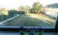 -210135423_ID6da63101-0000-0500-0000-00000d9e661e.jpg