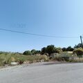 -210934090_IDd0097701-0000-0500-0000-000013827725.jpg