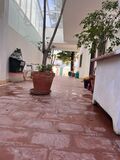 -212978150_IDf6d79a01-0000-0500-0000-000015864b20.jpg