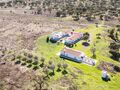 -69030596_DJI_0151_1732459029818.jpg