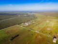 -69032032_DJI_0173_1708296468359.jpg