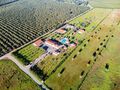 -69032032_DJI_0175_1708296468360.jpg